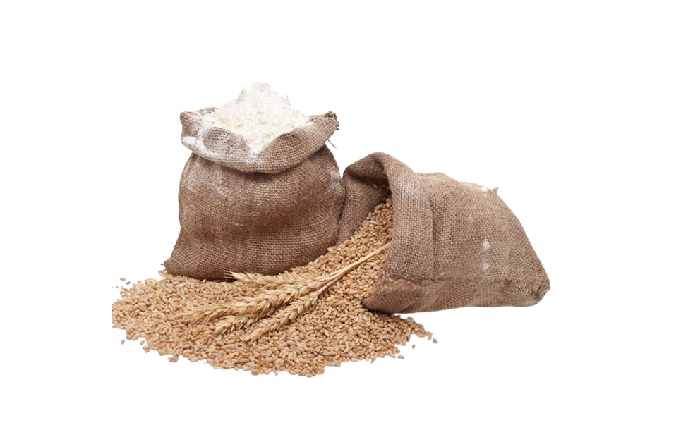 Mega Sale Madness! Enjoy 30% off